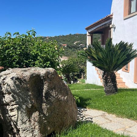 Villa Antonella Apartments オルビア エクステリア 写真