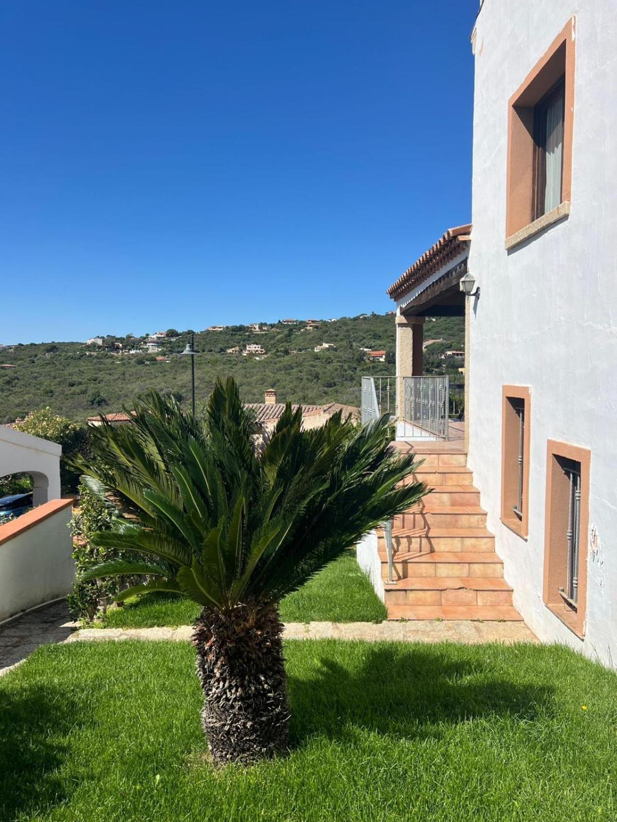 Villa Antonella Apartments オルビア エクステリア 写真